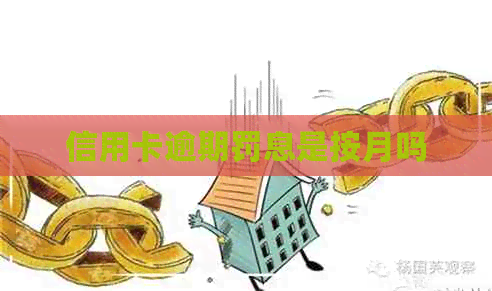 信用卡逾期罚息是按月吗