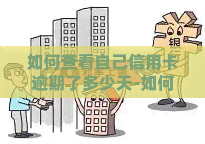 如何查看自己信用卡逾期了多少天-如何查看自己信用卡逾期了多少天还款