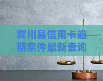 宾川县信用卡逾期案件最新查询：哈尔滨案例被起诉