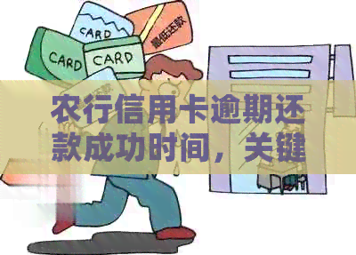 农行信用卡逾期还款成功时间，关键因素和免罚息政策解读