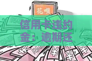 信用卡违约金：逾期还款的全面解析与避免方法