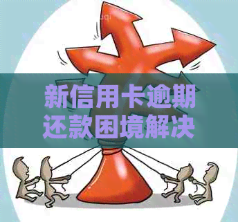 新信用卡逾期还款困境解决指南，不再被困扰！