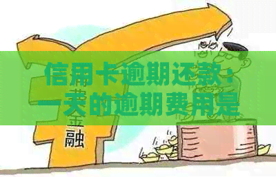 信用卡逾期还款：一天的逾期费用是多少？如何避免逾期产生的额外费用？