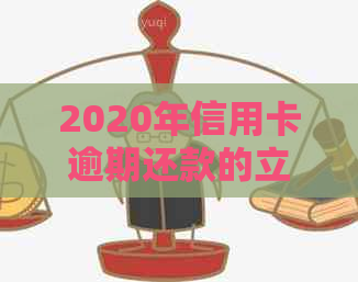 2020年信用卡逾期还款的立案标准及相关政策解读