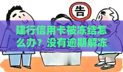 建行信用卡被冻结怎么办？没有逾期解冻方法解析