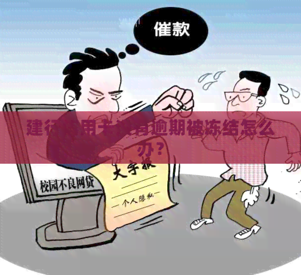 建行信用卡没有逾期被冻结怎么办？