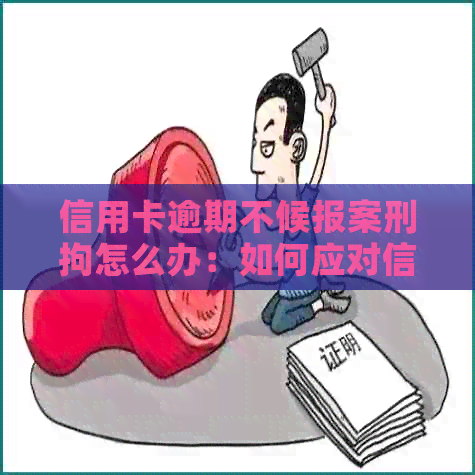 信用卡逾期不候报案刑拘怎么办：如何应对信用卡逾期问题以避免刑事责任？