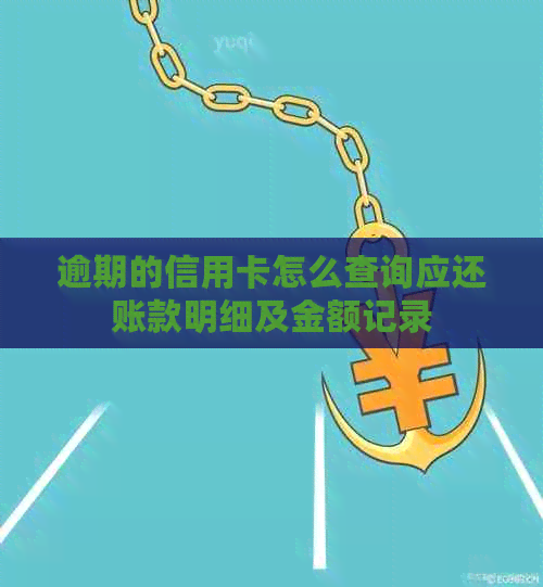 逾期的信用卡怎么查询应还账款明细及金额记录