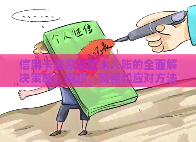 信用卡逾期还款未入账的全面解决策略：追踪、调整和应对方法
