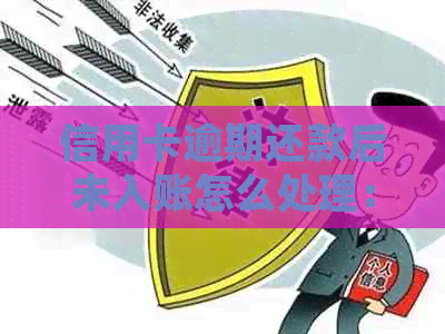 信用卡逾期还款后未入账怎么处理：解决办法与建议