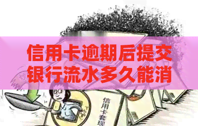 信用卡逾期后提交银行流水多久能消除