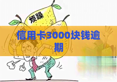 信用卡3000块钱逾期