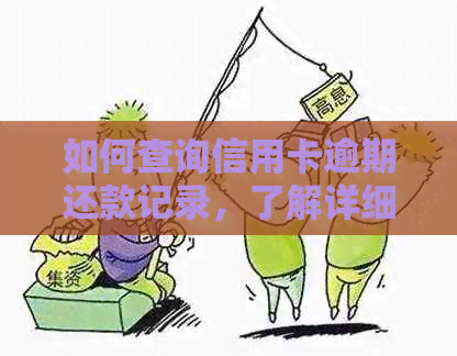 如何查询信用卡逾期还款记录，了解详细步骤和注意事项