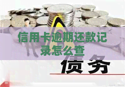 信用卡逾期还款记录怎么查