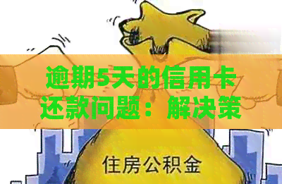 逾期5天的信用卡还款问题：解决策略与建议
