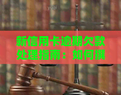 新信用卡逾期欠款处理指南：如何撰写有效的通知函