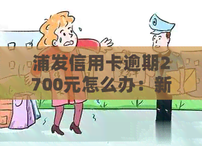 浦发信用卡逾期2700元怎么办：新法规、法律程序与追讨20万逾期款全程解析