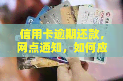 信用卡逾期还款，网点通知，如何应对及解决策略