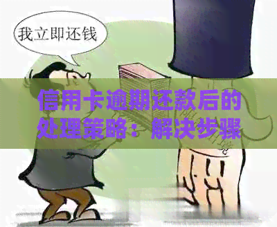 信用卡逾期还款后的处理策略：解决步骤和建议