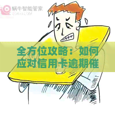 全方位攻略：如何应对信用卡逾期电话，让你的信用恢复不再是难题！