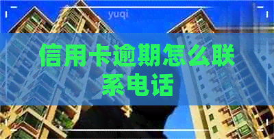 信用卡逾期怎么联系电话