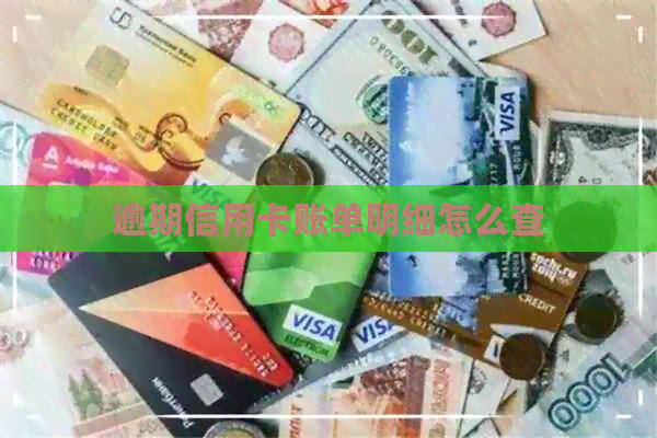 逾期信用卡账单明细怎么查