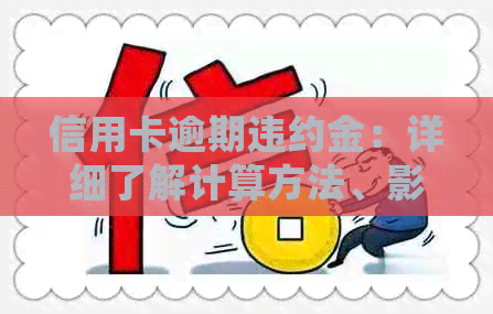 信用卡逾期违约金：详细了解计算方法、影响及如何避免