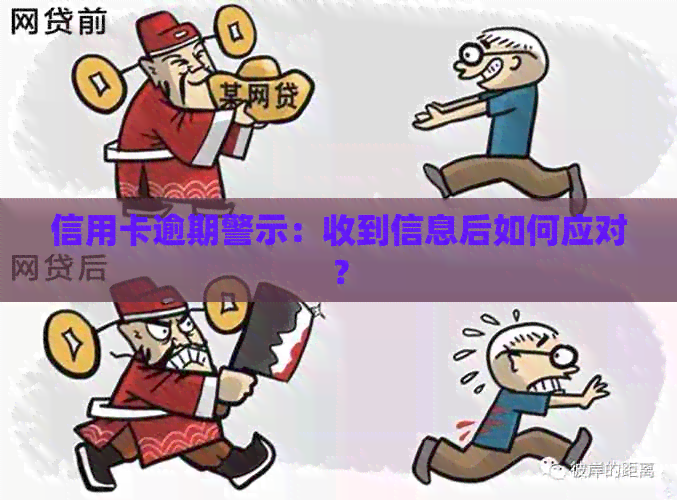 信用卡逾期警示：收到信息后如何应对？
