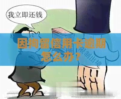因拘留信用卡逾期怎么办？