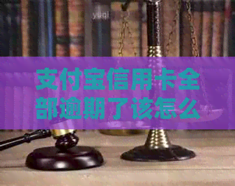 支付宝信用卡全部逾期了该怎么办理？请提供相关建议。