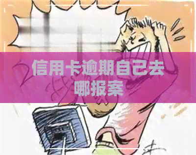 信用卡逾期自己去哪报案
