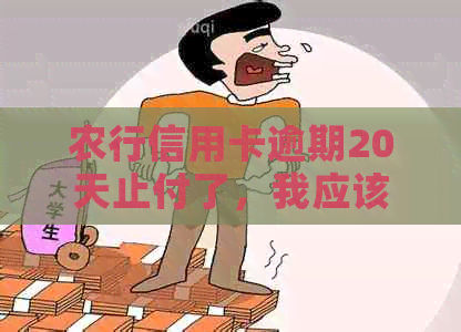 农行信用卡逾期20天止付了，我应该怎么做？