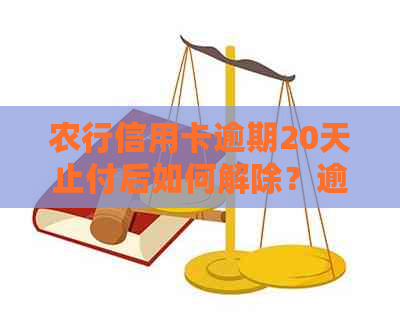 农行信用卡逾期20天止付后如何解除？逾期后果及解决办法一文解析！