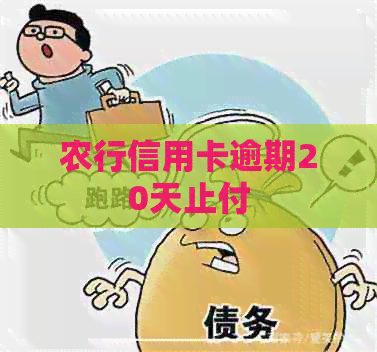 农行信用卡逾期20天止付