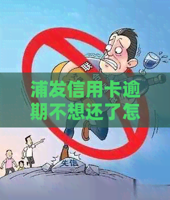 浦发信用卡逾期不想还了怎么处理好？20202021年新政策与分期申请解答
