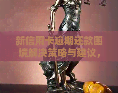 新信用卡逾期还款困境解决策略与建议，如何应对信信用卡逾期问题？