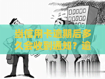 当信用卡逾期后多久会收到通知？逾期还款后的各种处理方式及时间参考