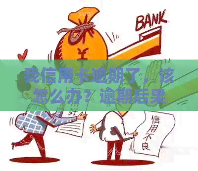 我信用卡逾期了，该怎么办？逾期后果及解决办法全解析！