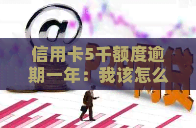 信用卡5千额度逾期一年：我该怎么办？逾期后果与解决办法全面解析