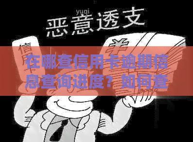 在哪查信用卡逾期信息查询进度？如何查询信用卡逾期记录及地点？