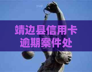 靖边县信用卡逾期案件处理指南：如何妥善应对？