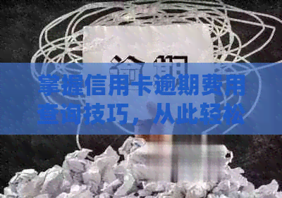掌握信用卡逾期费用查询技巧，从此轻松管理财务