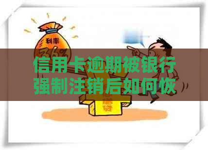 信用卡逾期被银行强制注销后如何恢复？解决方法全解析！