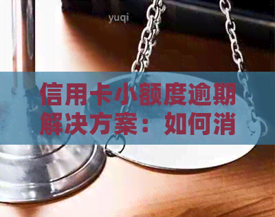 信用卡小额度逾期解决方案：如何消除不良信用记录并提高信用额度