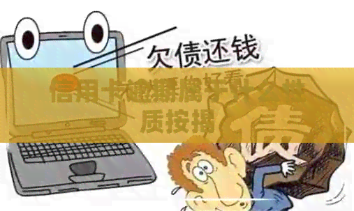 信用卡逾期属于什么性质按揭