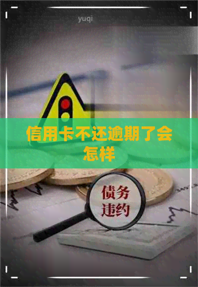 信用卡不还逾期了会怎样