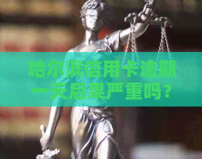 哈尔滨信用卡逾期一天后果严重吗？如何避免逾期？