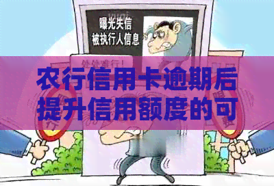 农行信用卡逾期后提升信用额度的可能性探讨
