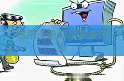 信用卡逾期后本金是指