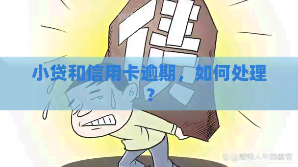 小贷和信用卡逾期，如何处理？